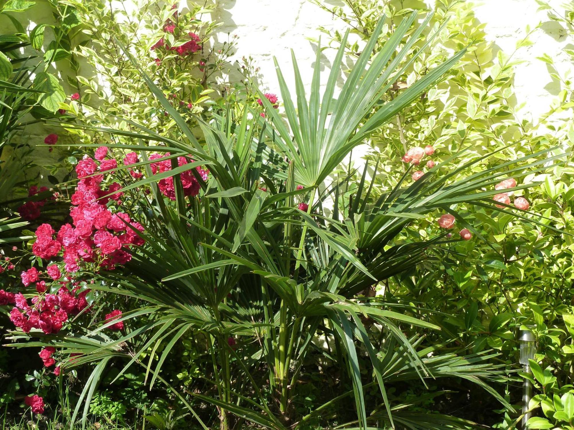 לינה וארוחת בוקר לה מדלן A La Fleur D Oranger - Lille La Madeleine מראה חיצוני תמונה
